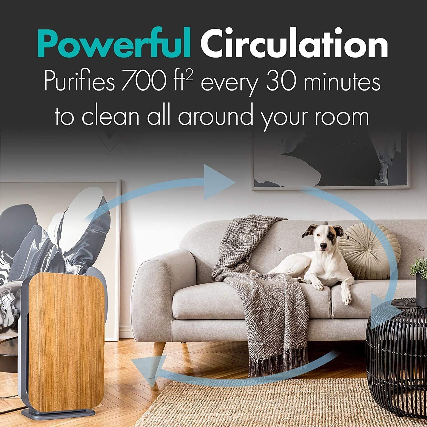 Air Purifier Breathesmart Flex HEPA with Pure Filter | 1400 Sq. Ft | Perfect for Bedrooms & Home Offices - Captures Allergens, Dust, & Mold - Oak